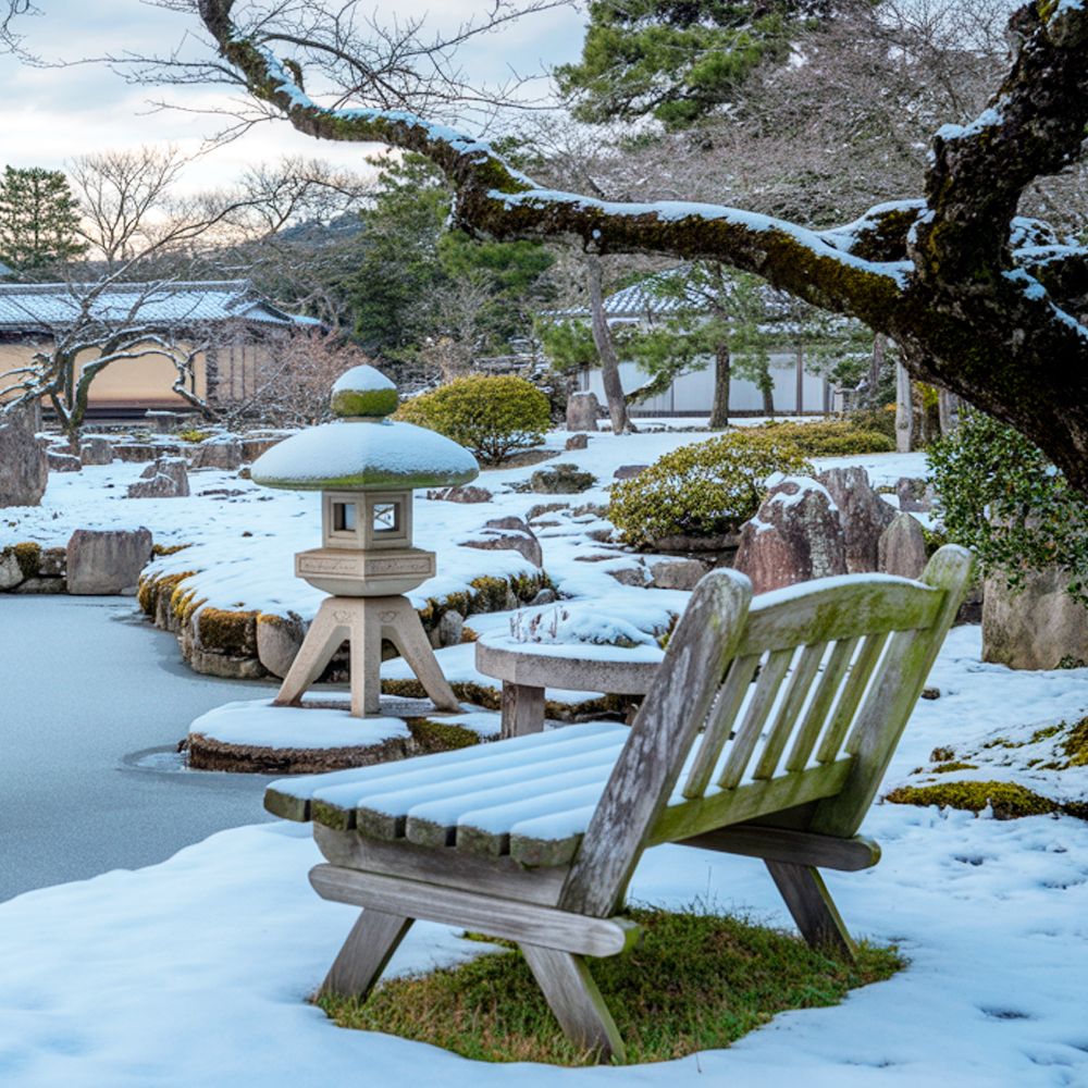 Зимний японский сад
